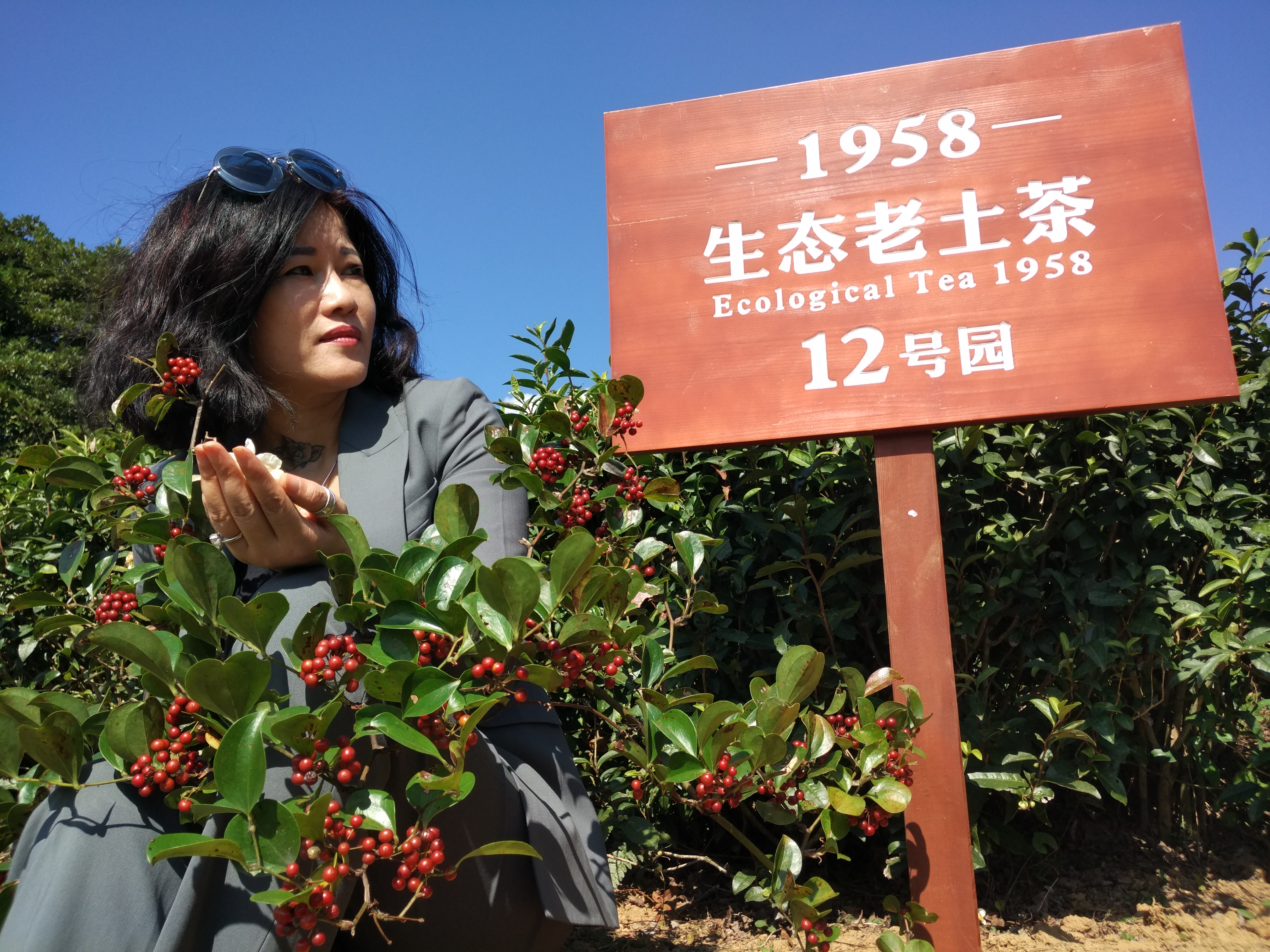 202408291117217918.jpg 202408291117217918.jpg